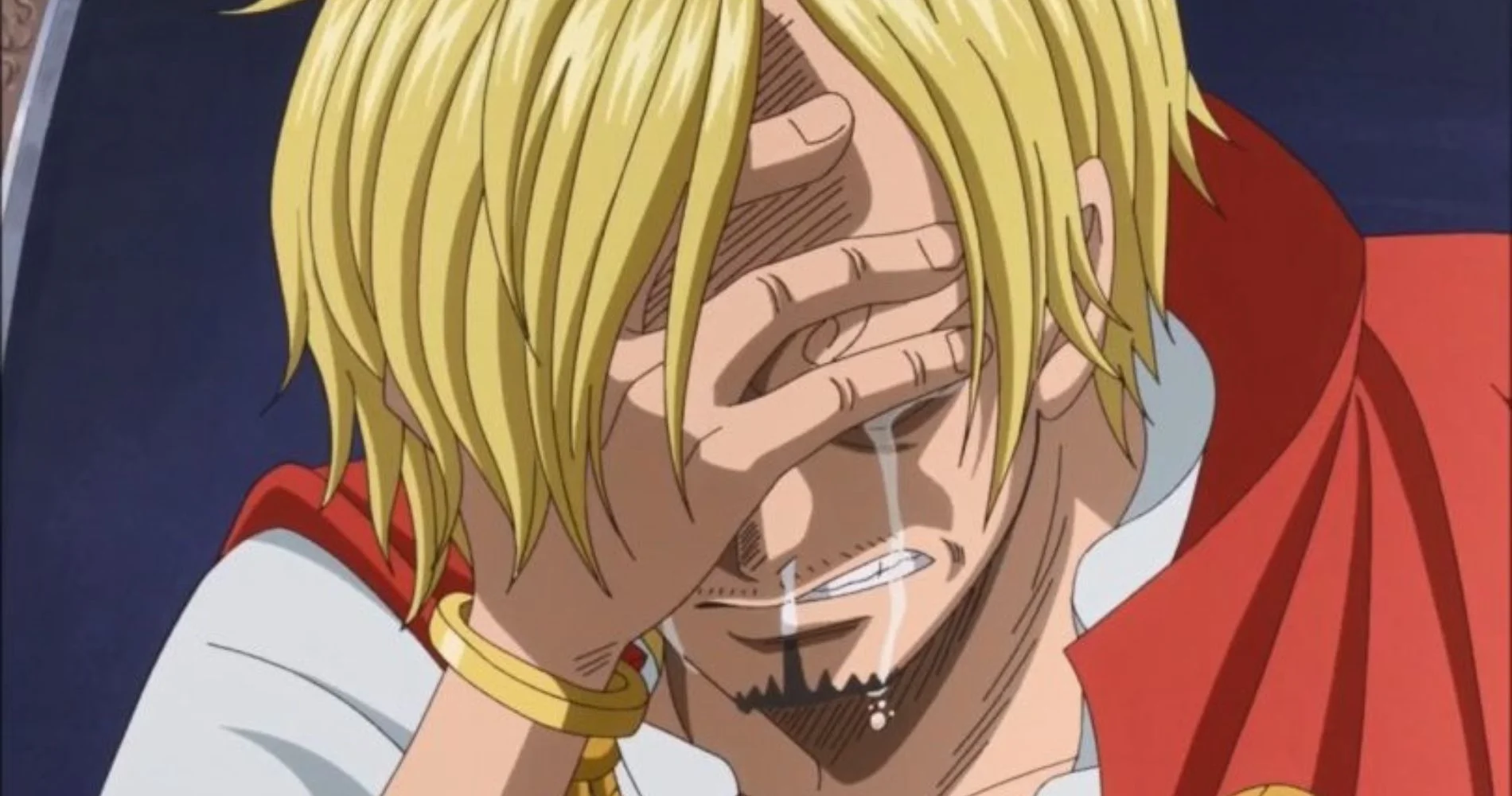 sanji vs luffy