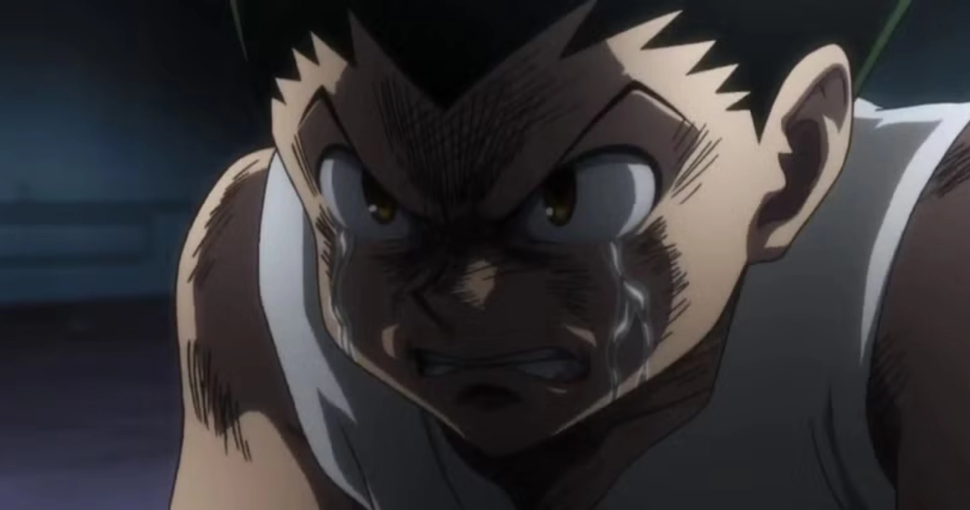 gon-angry-about-kite-death